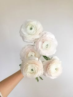 white flowers are being held up by someone's hand