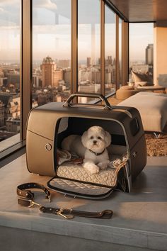 a small white dog sitting in a suitcase on top of a table next to a window