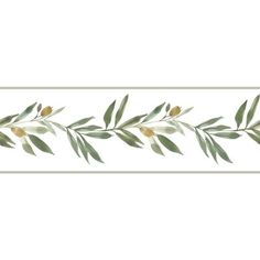 a white and green wallpaper border with olive leaves on the bottom, along with an olive branch in the middle