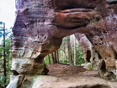 a large rock formation in the middle of a forest