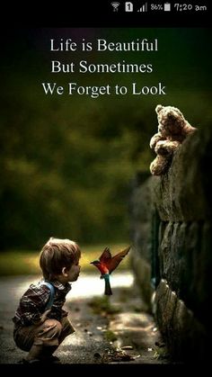 a little boy kneeling down next to a wall with a teddy bear and bird on it