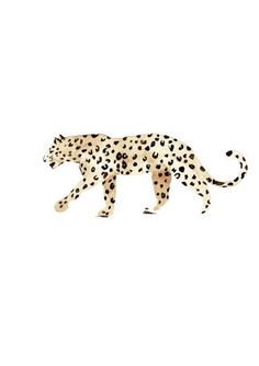 a white and black cheetah is walking across the ground with spots on it's body