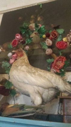 there is a chicken that is on display in the glass case with flowers around it