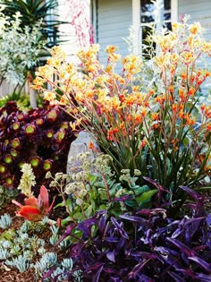 various plants and flowers in front of a house