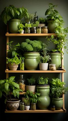 a shelf filled with lots of potted plants and greenery on top of it