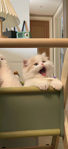 a white cat laying on top of a bed next to a stuffed animal sheep and lamp