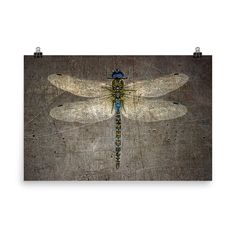 a blue and yellow dragonfly sitting on top of a piece of wood in front of a