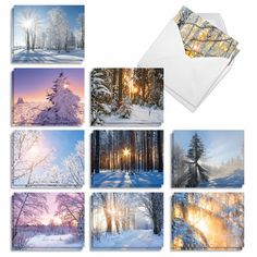 a collage of photos with the sun shining through trees and snow covered ground in front of them