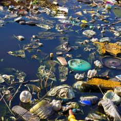 a river filled with lots of trash and plastic bottles