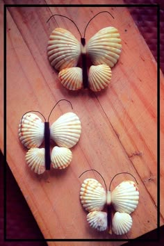 three seashells are arranged on a wooden board