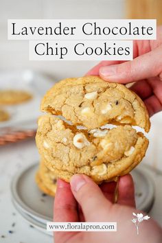 a hand holding a chocolate chip cookie in front of the camera and text overlay reads lavender chocolate chip cookies