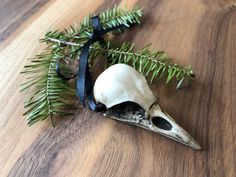 One Crow Christmas Tree Ornament, Faux Crow Bone Clone Crow Skull Gothic Home Decor, with black gothic ribbon Crow Christmas, Skull Christmas Tree, Mens Skull Jewelry, Gothic Holiday, Bird Skull Jewelry, Anti Christmas, Bird Skull Necklace, Raven Skull Necklace, Nightmare Before Christmas Ornaments