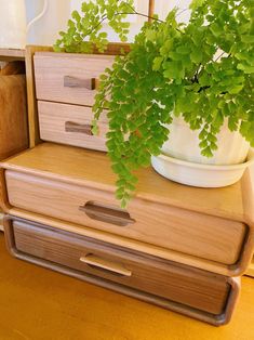 a potted plant sitting on top of two wooden drawers