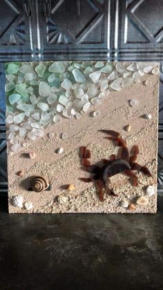 an image of sea glass and shells in the sand