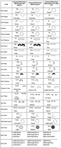 an image of different types of hair for men and women in the same color scheme