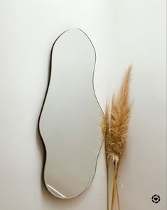 a mirror sitting on top of a white wall next to a dried grass stalk and a plant