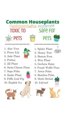 a poster with different types of cats and dogs in the same houseplants list