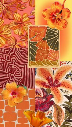 an assortment of flowers are shown in different colors and patterns, including oranges, yellows, and pinks