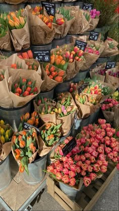 several buckets filled with lots of different colored tulips and other colorful flowers