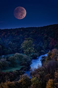 the full moon is seen over a river and forest at night with trees in the foreground