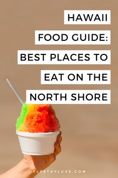 a hand holding a bowl with food in it and the words hawaii food guide best places to eat on the north shore