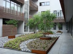 a courtyard with several plants and trees in the center, surrounded by two balconies