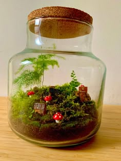 a glass jar filled with plants and mushrooms