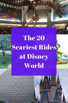 the 20 scariest rides at disney world