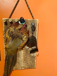 a bird is hanging on a wall with two other birds in the background and an orange painted wall behind it