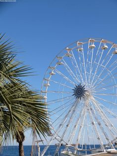 a large ferris wheel sitting next to the ocean