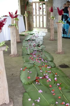 a long row of green leaves with pink and red flowers on them, lined up in rows