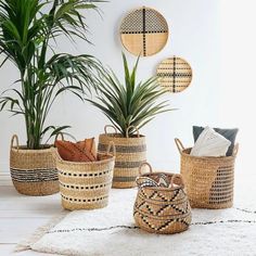 several woven baskets with plants in them on a white rug next to a potted plant