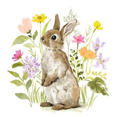 a watercolor painting of a rabbit surrounded by flowers