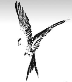 a black and white photo of a bird flying