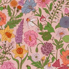 a pink background with colorful flowers and leaves on the bottom right hand corner is an image of several different types of wildflowers