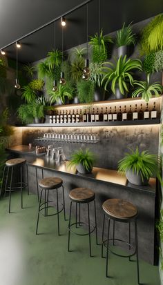 an image of a bar with plants on the wall