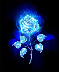 a blue rose with leaves on a black background