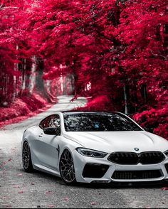 a white car parked on the side of a road in front of trees with red leaves