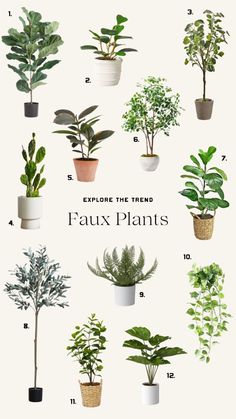 various types of plants in pots with the words explore the trend faux plants on them