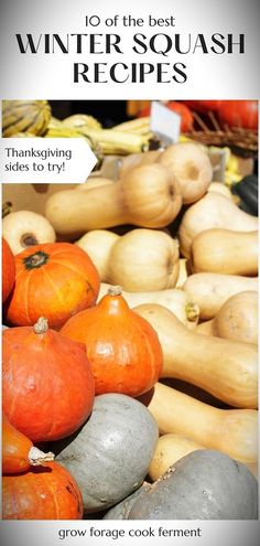 several different types of squash on display for sale in a market area with text overlay that reads 10 of the best winter squash recipes