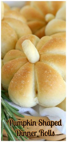 pumpkin shaped dinner rolls with rosemary sprigs on the side and text overlay that reads pumpkin shaped dinner rolls