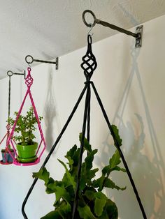 two hanging planters with plants in them, one is pink and the other is green