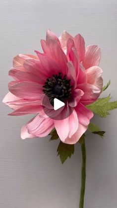 How To Make Large Crepe Paper Flowers, Large Crepe Flowers Diy, Crepe Paper Big Flowers, Italian Crepe Paper Flowers, Crepe Paper Cosmos Flowers, Crepe Paper Flowers, Giant Flowers, Crepe Paper