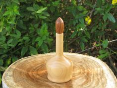 a wooden object sitting on top of a tree stump in front of some green bushes