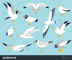 seagulls are flying in the sky with their beaks open and spread out