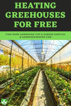 a greenhouse with plants growing in it and the words, how to start a hydroponing