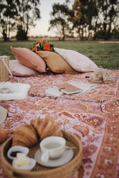 a picnic blanket on the ground with food and drinks in bowls sitting on top of it