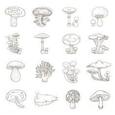 the different types of mushrooms are shown in this hand drawn drawing technique, which is easy to draw