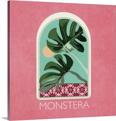 a pink wall with a green plant in it and the words monstera above it