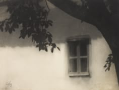 an old black and white photo of a cat sitting on the window sill in front of a tree